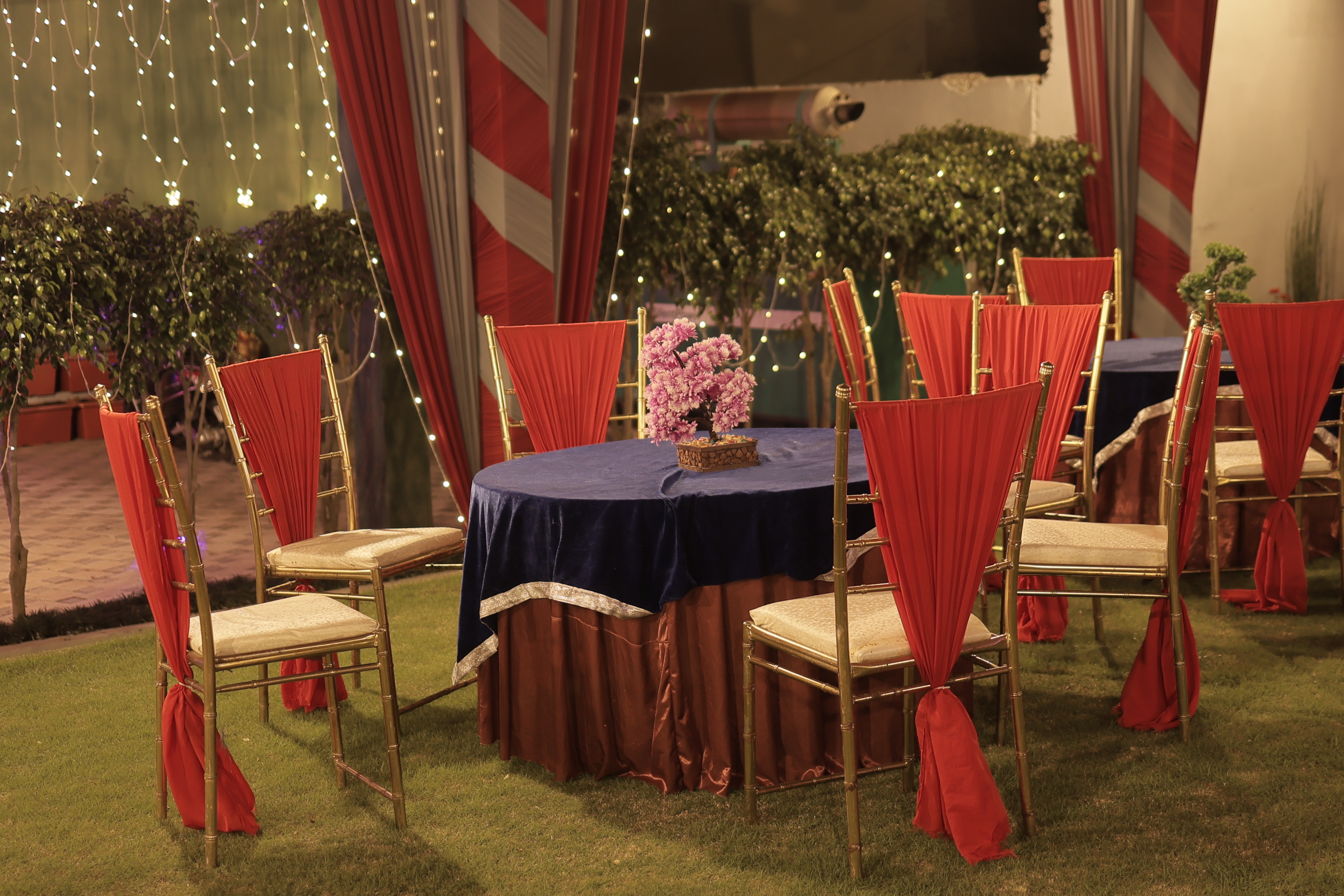 Soni Garden Photo 13